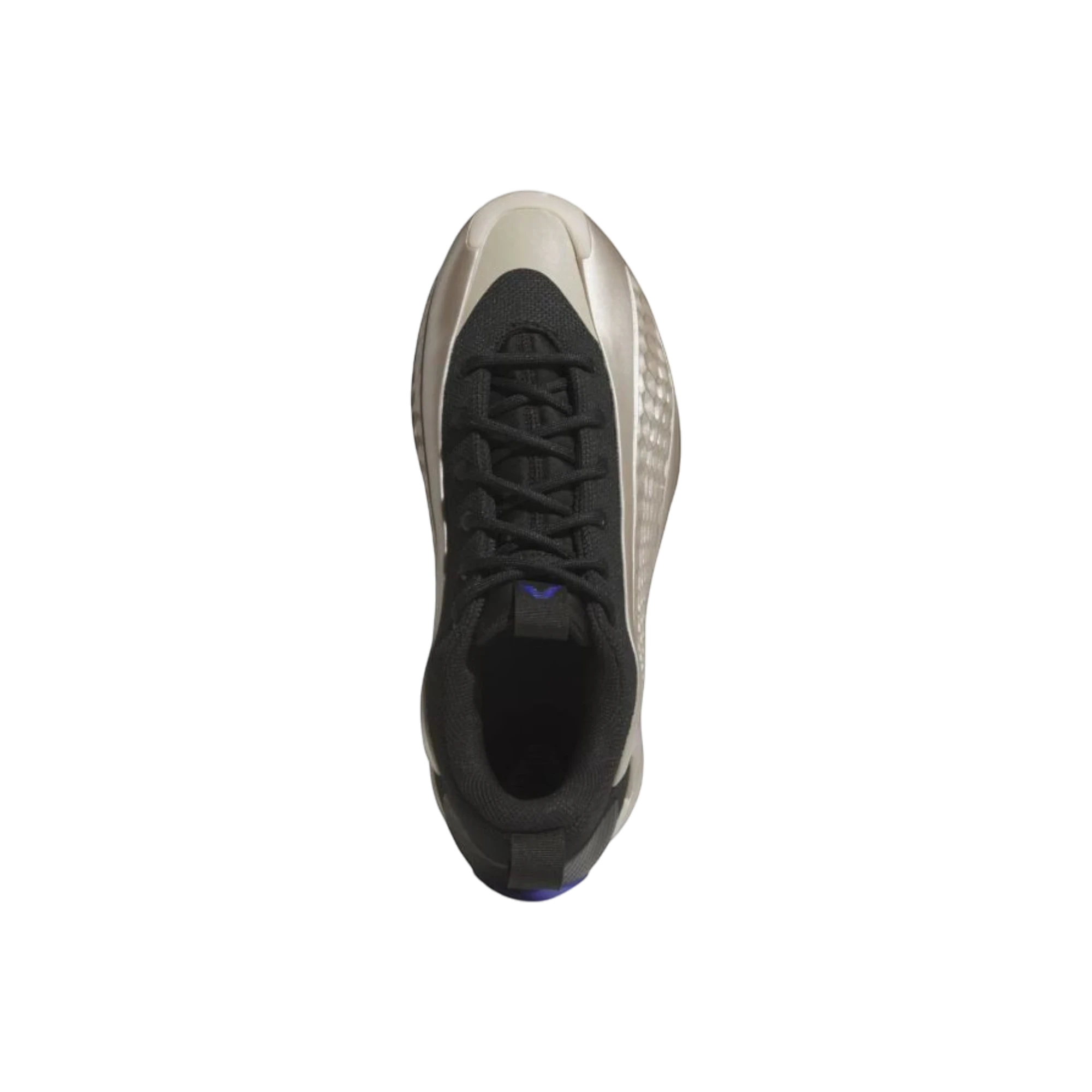 Zapatillas de baloncesto THE KICKS WORLD Adidas AE 1 Low en color Champagne Metallic y negro con diseño futurista